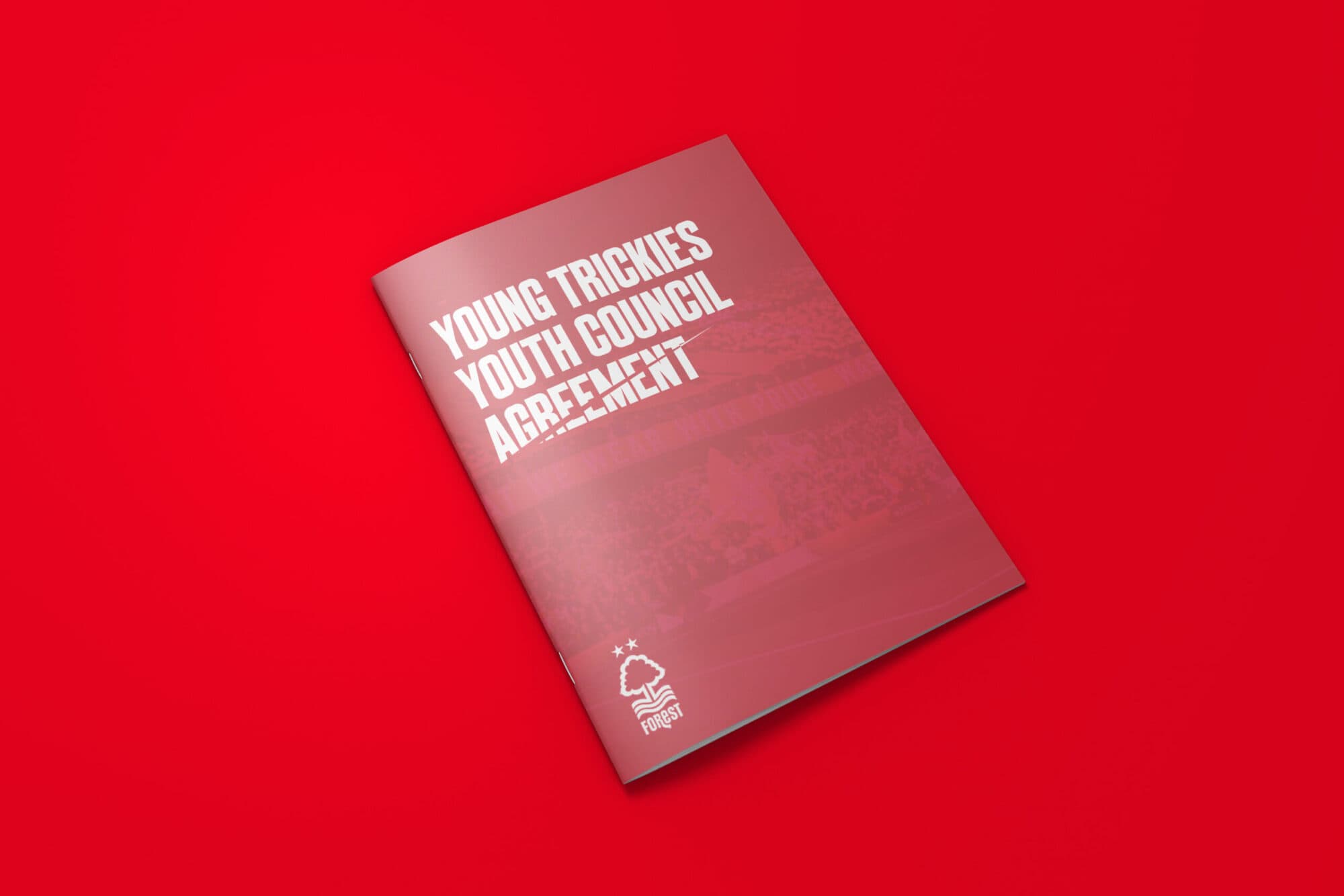 Print for Nottingham Forest Football Club